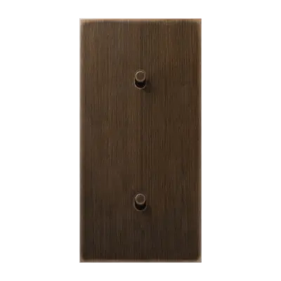 JUNG schakelwip cilinder voor 2 x enkele schakelaar verticaal LS1912 messing antiek (ME 12-20 AT R 26)