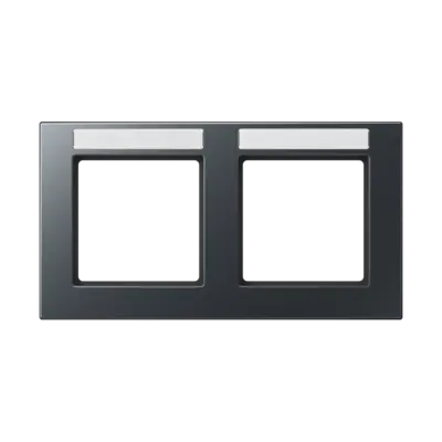 JUNG afdekraam 2-voudig horizontaal met tekstvenster A550 antraciet mat (A 55820 BF NA ANM)