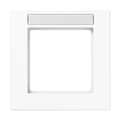 JUNG afdekraam 1-voudig met tekstvenster A550 alpine wit (A 5581 BF NA WW)