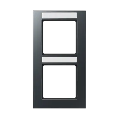 JUNG afdekraam 2-voudig verticaal met tekstvenster A550 antraciet mat (A 5582 BF NA ANM)