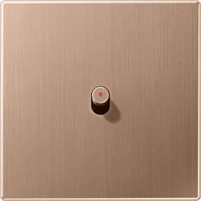 JUNG schakelwip met lens kegel LS1912 geborsteld brons (BRG 12-0 KO K 42)
