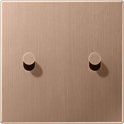 JUNG schakelwip 2-voudig kegel LS1912 geborsteld brons (BRG 12-5 K 42)