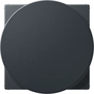 JUNG centraalplaat voor draadloos opladen A-range antraciet mat (A WC MAG ANM)