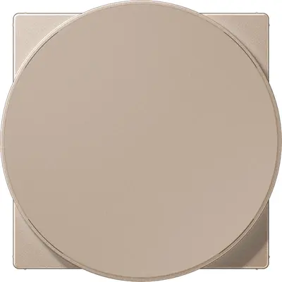 JUNG centraalplaat voor draadloos opladen A-range champagne (A WC MAG CH)