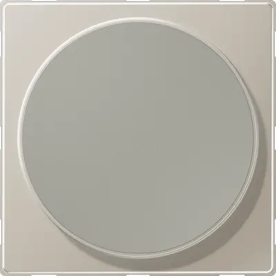 JUNG centraalplaat voor draadloos opladen LS990 edelstaal (ES WC MAG)