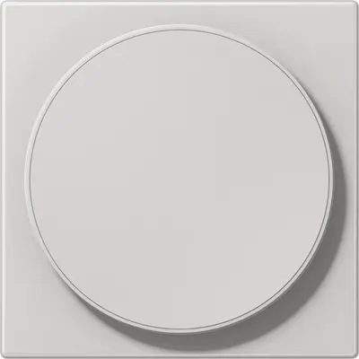 JUNG centraalplaat voor draadloos opladen LS990 lichtgrijs (LS WC MAG LG)