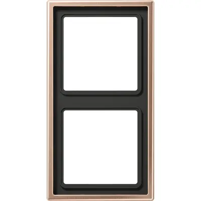 JUNG afdekraam 2-voudig LS990 geborsteld brons (BRG 2982)