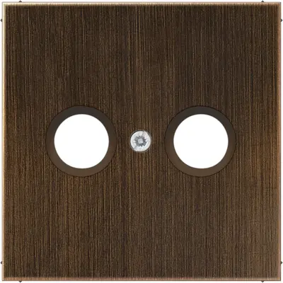 JUNG centraalplaat antenne-coax LS990 messing antiek (ME 2990 TV AT)