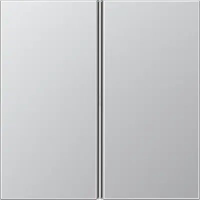JUNG Tweedelige drukker Tastrelaiss (AL 2402 TSA)