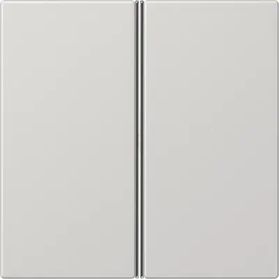 JUNG Tweedelige drukker Tastrelaiss (LS 402 TSA LG)