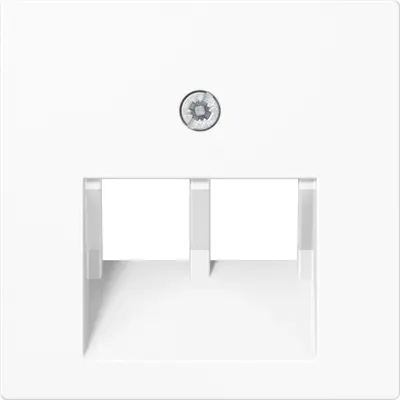 JUNG centraalplaat 2-voudig tbv RJ45 wandcontactdoos A-range alpine wit (A 569-2 BFPLUA WW)