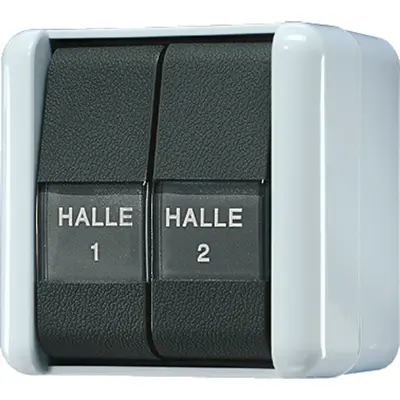 JUNG tweepolige schakelaar 10A met tekstvensters en verlichting IP44 WG800 (805 NAW)