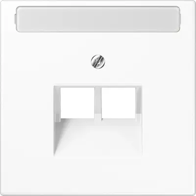 JUNG centraalplaat 2-voudig met tekstvenster tbv RJ45 wandcontactdoos LS990 alpine wit (LS 969-2 NAUA WW)