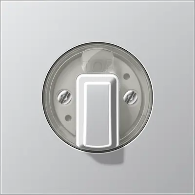 JUNG draaiknop tbv jaloezie of draaischakelaar LS990 aluminium (AL 1941)