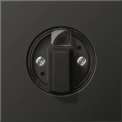 JUNG draaiknop tbv jaloezie of draaischakelaar LS990 antraciet gelakt aluminium (AL 1941 AN)