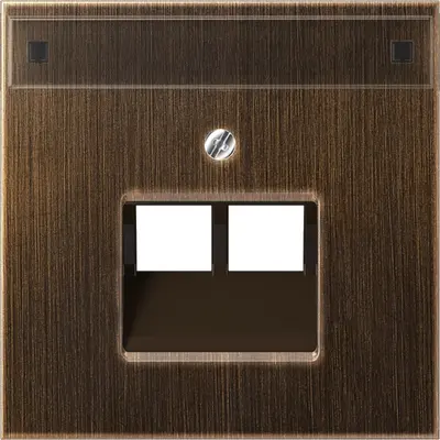JUNG centraalplaat 2-voudig met tekstvenster tbv RJ45 wandcontactdoos LS990 messing antiek (ME 2969-2 NAUA AT)
