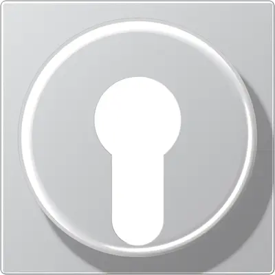 JUNG sleutel centraalplaat tbv jaloezie-sleutelschakelaar A-range aluminium (A 528 PL AL)