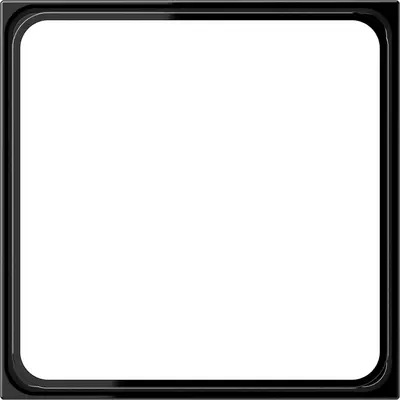 JUNG Afdekraam 1v Horizontaal en ve (LS 981 Z SW)