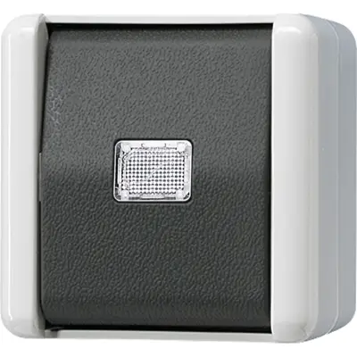 JUNG drukcontact 1-voudig 1 wisselcontact opbouw IP44 WG800 (833 W)