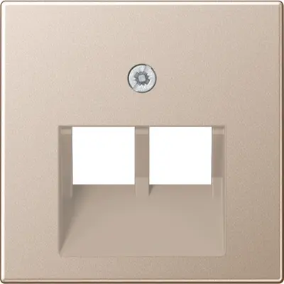 JUNG centraalplaat 2-voudig tbv RJ45 wandcontactdoos A-range champagne (A 569-2 BFPLUA CH)
