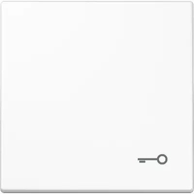 JUNG schakelwip met sleutelsymbool LS990 alpine wit (LS 990 T WW)
