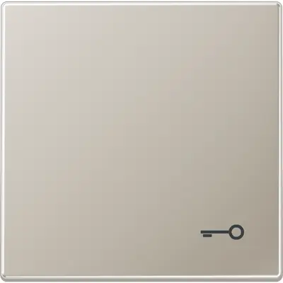 JUNG schakelwip met sleutelsymbool LS990 edelstaal (ES 2990 T)