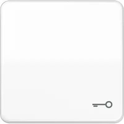 JUNG schakelwip met sleutelsymbool CD500 alpine wit (CD 590 T WW)