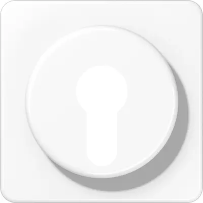 JUNG centraalplaat voor sleutelschakelaar CD500 alpine wit (CD 528 WW)