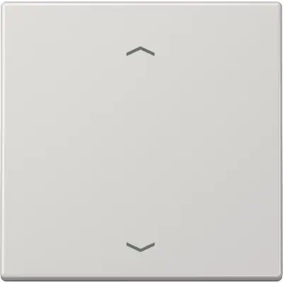 JUNG EnOcean draadloze wandzender 2-kanaals met pijlsymbolen LS990 lichtgrijs (ENO LS 990 P LG)