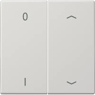 JUNG EnOcean draadloze wandzender 4-kanaals met 0-1 en pijlsymbolen LS990 lichtgrijs (ENO LS 995 P01 LG)