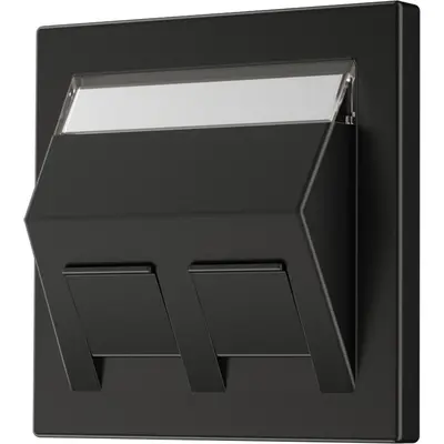 JUNG Centraalplaat Antraciet (AL 569-30 BF PL AN L)