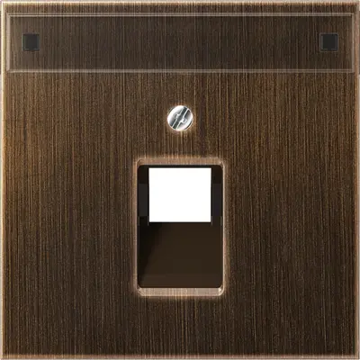 JUNG Centraalplaat UAE/IAE Messing (ME 2969-1 NAUA AT)
