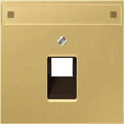 JUNG Centraalplaat UAE/IAE Messing (ME 2969-1 NAUA C)