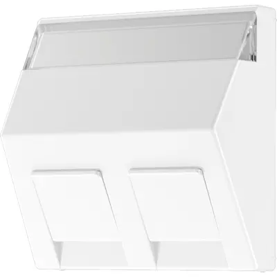JUNG centraalplaat voor montage adapter 30 graden met tekstvenster A-range alpine wit (A 569-30 BF PL WW)