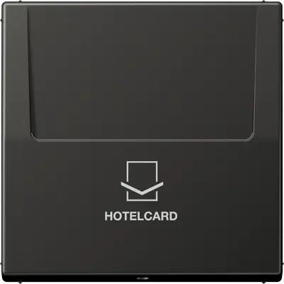 JUNG Hotelkaart Aan-/uit-schakelaar (AL 2990 CARD AN)
