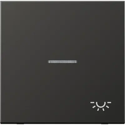 JUNG schakelwip met lichtsymbool en controlevenster LS990 antraciet gelakt aluminium (AL 2990 KO5 L AN)