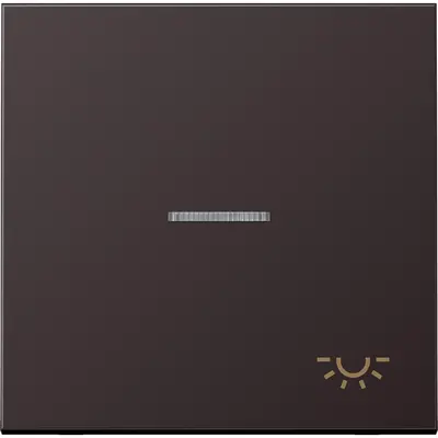 JUNG schakelwip met lichtsymbool en controlevenster LS990 dark gelakt aluminium (AL 2990 KO5 L D)