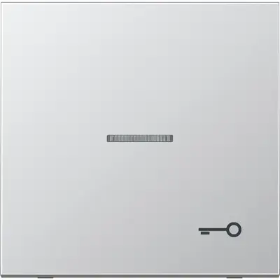 JUNG schakelwip met sleutelsymbool en controlevenster LS990 aluminium (AL 2990 KO5 T)