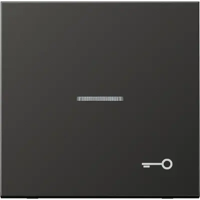 JUNG schakelwip met sleutelsymbool en controlevenster LS990 antraciet gelakt aluminium (AL 2990 KO5 T AN)
