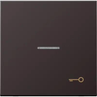 JUNG schakelwip met sleutelsymbool en controlevenster LS990 dark gelakt aluminium (AL 2990 KO5 T D)