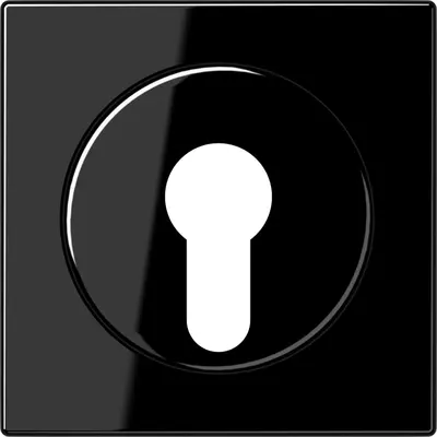 JUNG Overig Overig Zwart (LS 928 SW)