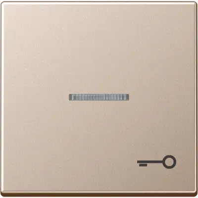 JUNG schakelwip met sleutelsymbool en controlevenster A-range champagne (A 590 KO5 T CH)