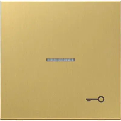 JUNG schakelwip met sleutelsymbool en controlevenster LS990 messing klassiek (ME 2990 KO5 T C)