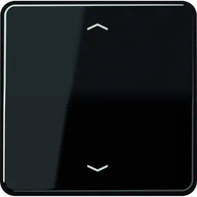 JUNG Jaloezie besturing (CD 5232 MS SW)