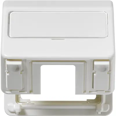JUNG Afdekraam 1v Horizontaal en ve (CD 554 KL WW)