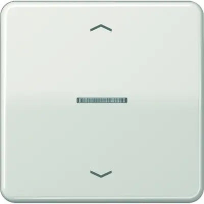 JUNG Jaloezie besturing (CD 5232 LG)