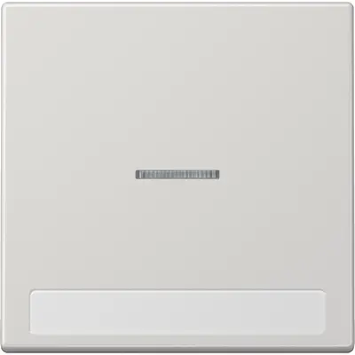 JUNG schakelwip met controlevenster en tekstvenster LS990 lichtgrijs (LS 990 NAKO5 LG)