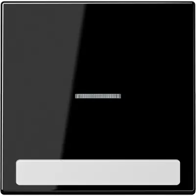 JUNG schakelwip met controlevenster en tekstvenster LS990 zwart glans (LS 990 NAKO5 SW)