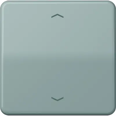 JUNG Jaloezie besturing (CD 5232 MS GR)