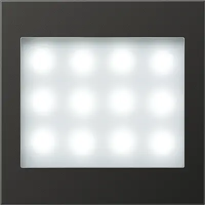 JUNG Verlichtingselement schakelmat (AL 2539 AN LED LW-12)